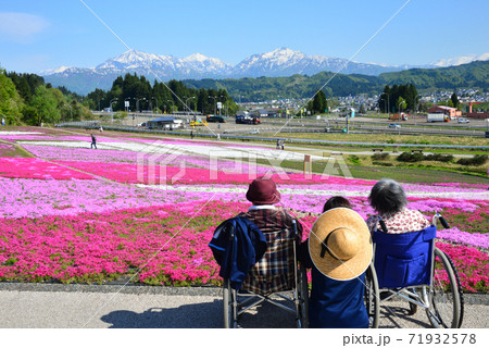 満開の芝桜を満喫する障害高齢者 71932578