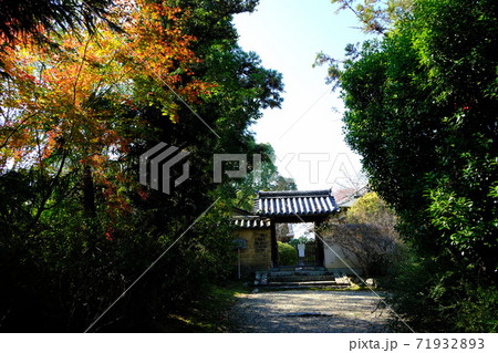 古都奈良の隅寺 海龍王寺(かいりゅうおうじ) 古都奈良の隅寺 海龍王寺(かいりゅうおうじ) 71932893