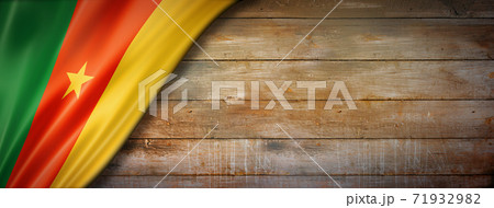 Cameroon flag on vintage wood wall banner 71932982