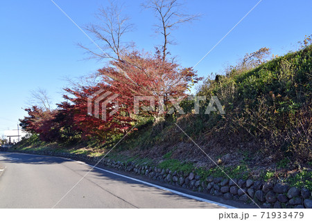 薬師塚古墳　 71933479