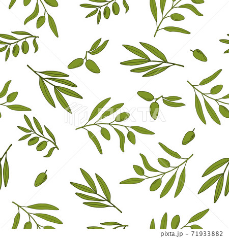 Seamless pattern with olive branches. 71933882