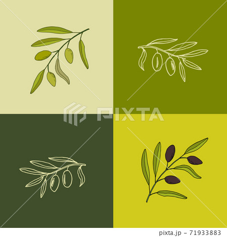 Set of olive branches 71933883