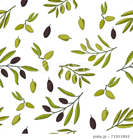 Seamless pattern with olive branches. 71933893