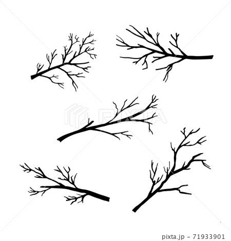 Hand drawn silhouettes of tree branches 71933901