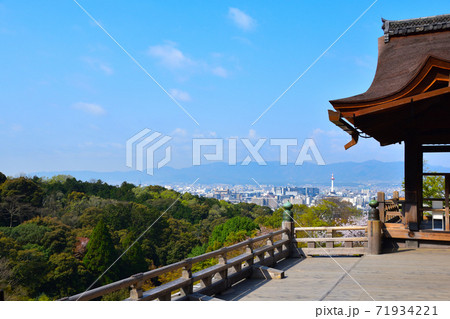 春　清水寺　本堂 71934221