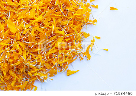 Petals of marigold flower on white background. 71934460