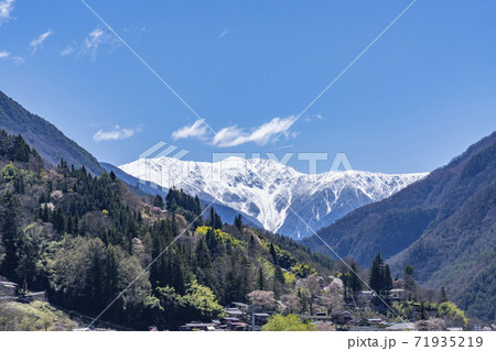 桜と花桃咲く大鹿村と残雪の赤石岳 71935219