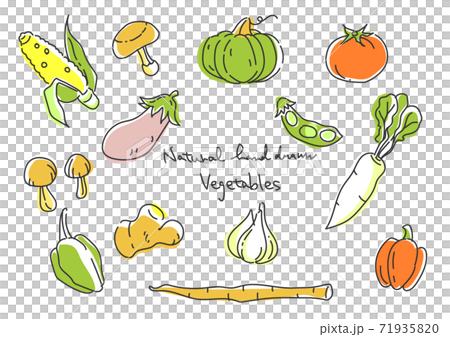シンプルでお洒落な手描きのイラスト 野菜セット のイラスト素材
