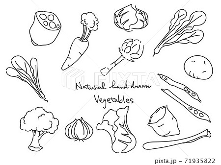 シンプルでお洒落な手描きのイラスト 野菜セット モノクロのイラスト素材