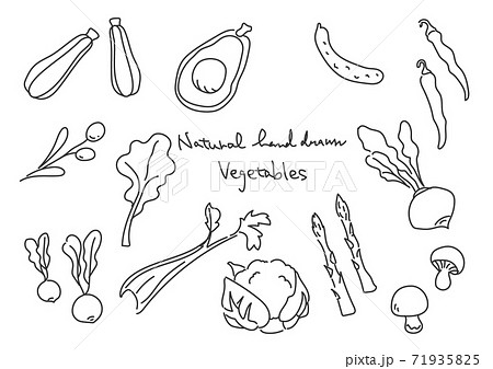 シンプルでお洒落な手描きのイラスト 野菜セット モノクロのイラスト素材