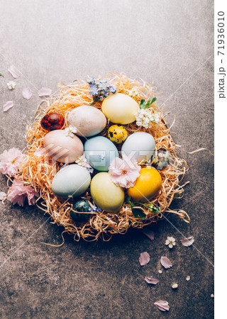 Homemade naturally dyed eggs. 71936010
