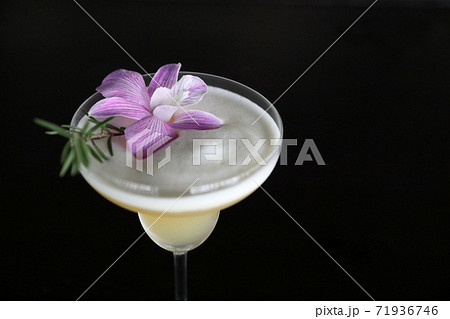 Pink Cocktail glass with ice at a bar counter 71936746
