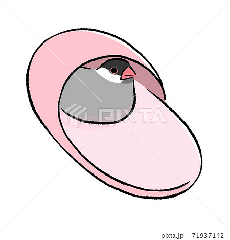 スリッパが気にいった文鳥 桜 スリッパが気にいった文鳥 桜 71937142