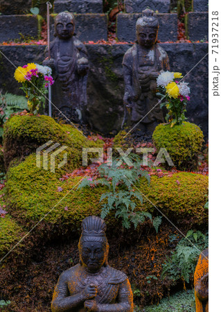 広島市西区にある三瀧寺境内と紅葉 広島市西区にある三瀧寺境内と紅葉 71937218