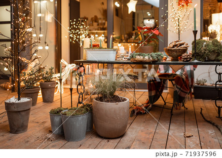 Beautifully decorated backyard during the New Year holidays Beautifully decorated backyard during the New Year holidays 71937596