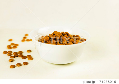 Pets dog cat dry food in white bowl on white background 71938016