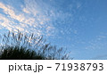 ススキと秋空 71938793