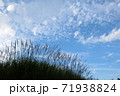 ススキと秋空 71938824