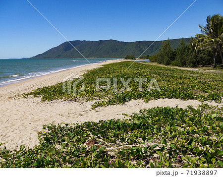 ワンゲッティ・ビーチ ワンゲッティ・ビーチ 71938897