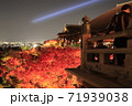 清水寺ライトアップ 71939038