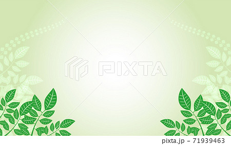 葉っぱのシンプルでナチュラルな緑の背景イラストのイラスト素材