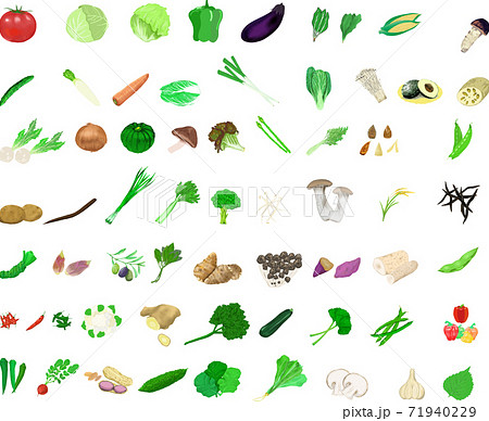 可愛いシンプルな野菜のイラストセット 71940229