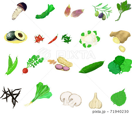 可愛いシンプルな野菜のイラストセット2のイラスト素材