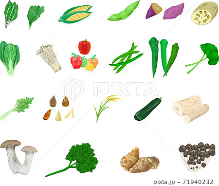 可愛いシンプルな野菜のイラストセット3のイラスト素材