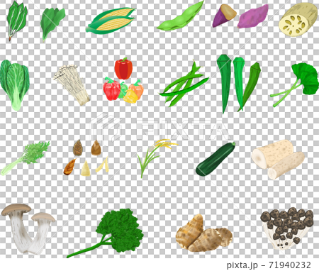 可愛いシンプルな野菜のイラストセット3 可愛いシンプルな野菜のイラストセット3 71940232