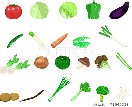 可愛いシンプルな野菜のイラストセット4のイラスト素材