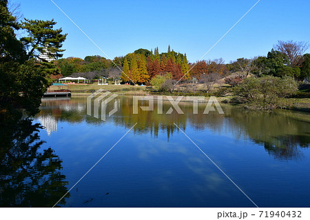 晩秋の芝生広場 紅葉の木々 晩秋の芝生広場 紅葉の木々 71940432