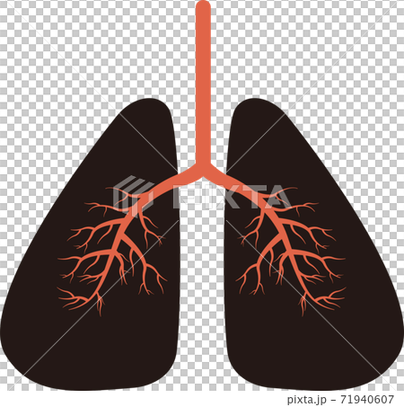 肺の機能を停止した壊死した肺のイラストのイラスト素材