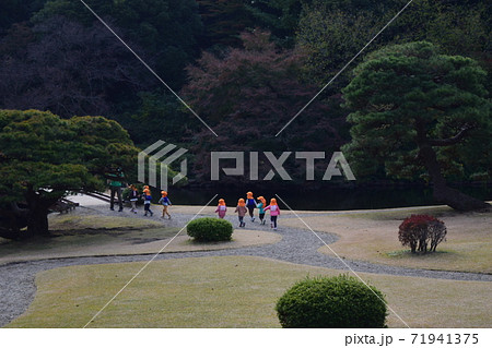 庭園を散歩する園児たち 庭園を散歩する園児たち 71941375