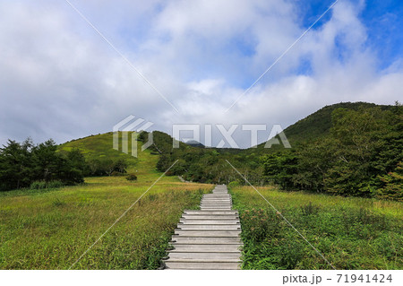 夏の霧降高原 夏の霧降高原 71941424