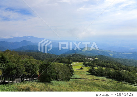 夏の霧降高原 71941428