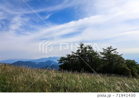 夏の霧降高原 夏の霧降高原 71941430