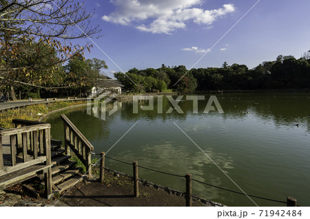 橿原神宮 深田池 奈良県橿原市 橿原神宮 深田池 奈良県橿原市 71942484