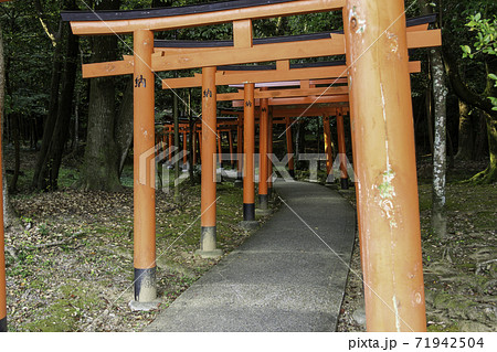 橿原神宮　長山稲荷社　奈良県橿原市 71942504