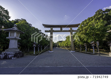 橿原神宮　表参道　奈良県橿原市 71942749