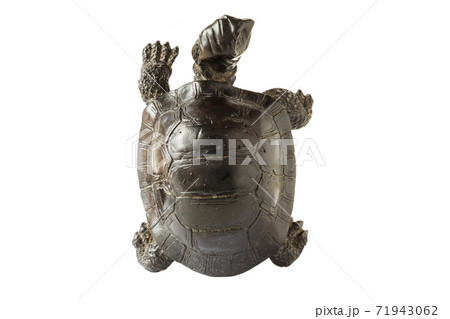 Black figurine of a turtle Black figurine of a turtle 71943062