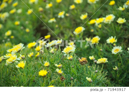 大分市（佐賀関町）　関崎海星館 71943917