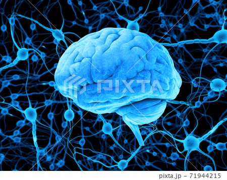 Blue human brain and neurons, 3d rendering 71944215