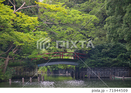 東京都大田区南千束にある洗足池公園　洗足池弁財天へ架かる赤い橋 71944509