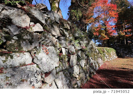 奈良県　高取城の紅葉 71945052