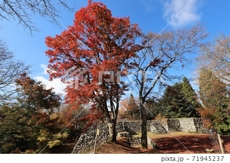 奈良県 高取城の紅葉 奈良県 高取城の紅葉 71945237