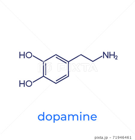 dopamine molecule on white, vector dopamine molecule on white, vector 71946461
