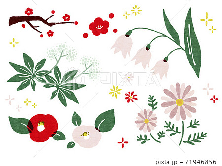 手描きのレトロな冬の花セットのイラスト素材 71946856 Pixta
