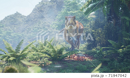 The Tyrannosaurus Rex dinosaur slowly creeps up on its prey in a thicket of green prehistoric jungle. View of the green prehistoric jungle forest on a Sunny morning. 3D Rendering. 71947042