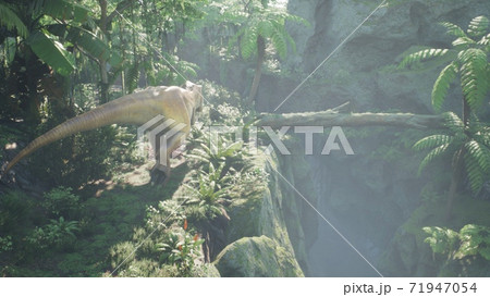 The Tyrannosaurus Rex dinosaur slowly creeps up on its prey in a thicket of green prehistoric jungle. View of the green prehistoric jungle forest on a Sunny morning. 3D Rendering. 71947054