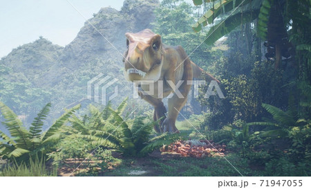 The Tyrannosaurus Rex dinosaur slowly creeps up on its prey in a thicket of green prehistoric jungle. View of the green prehistoric jungle forest on a Sunny morning. 3D Rendering. 71947055